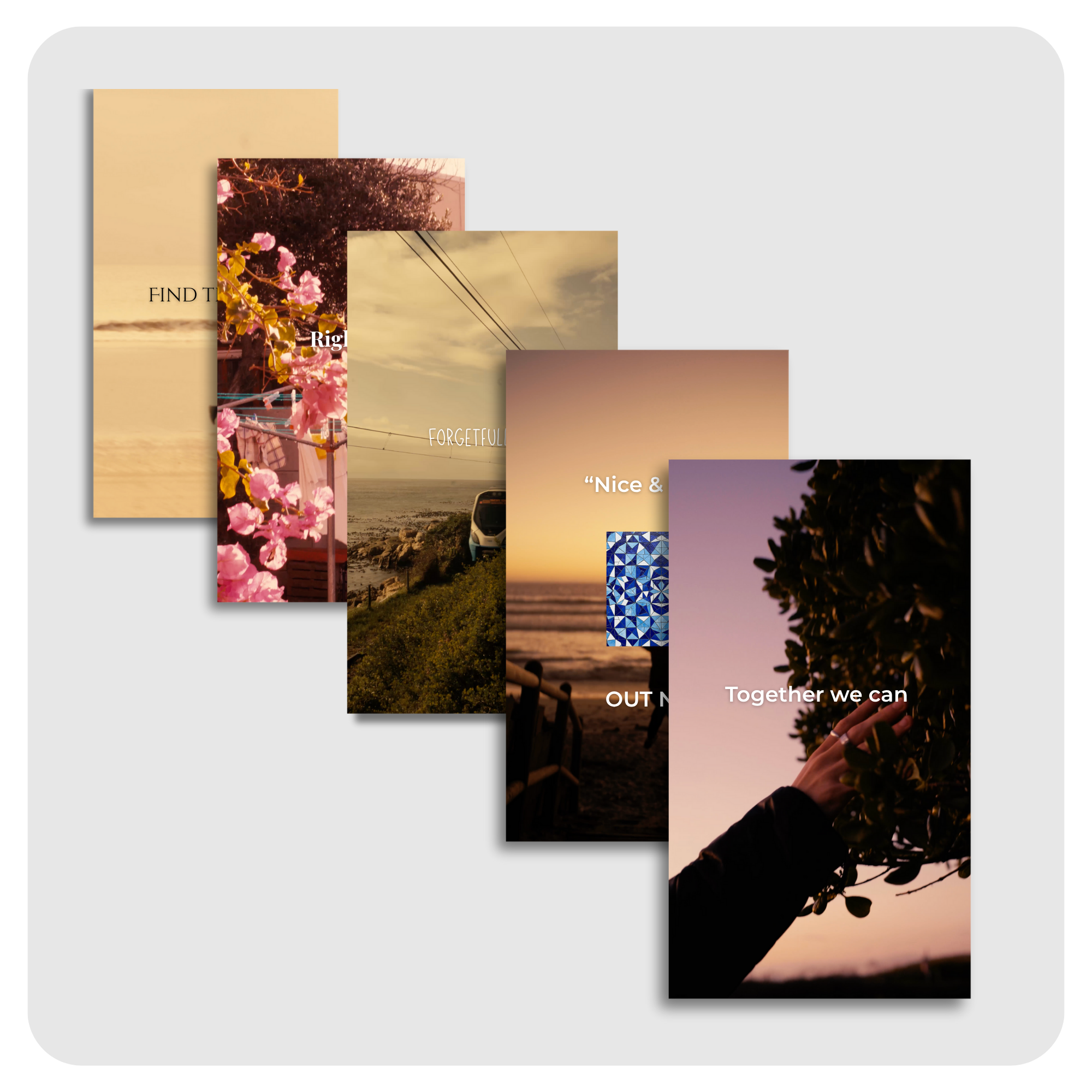 Ad Pack 02 - Golden Bloom